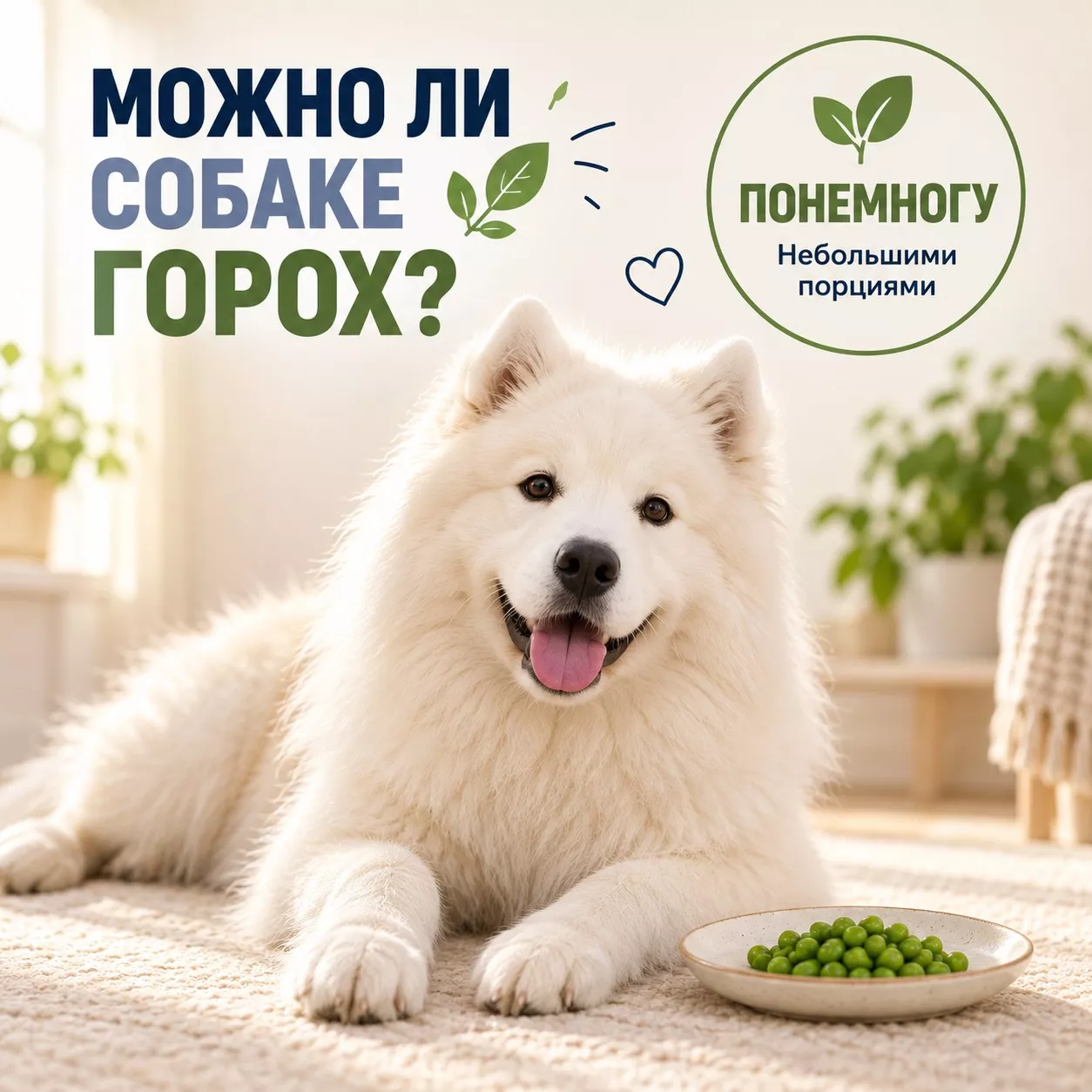 Можно ли собаке горох