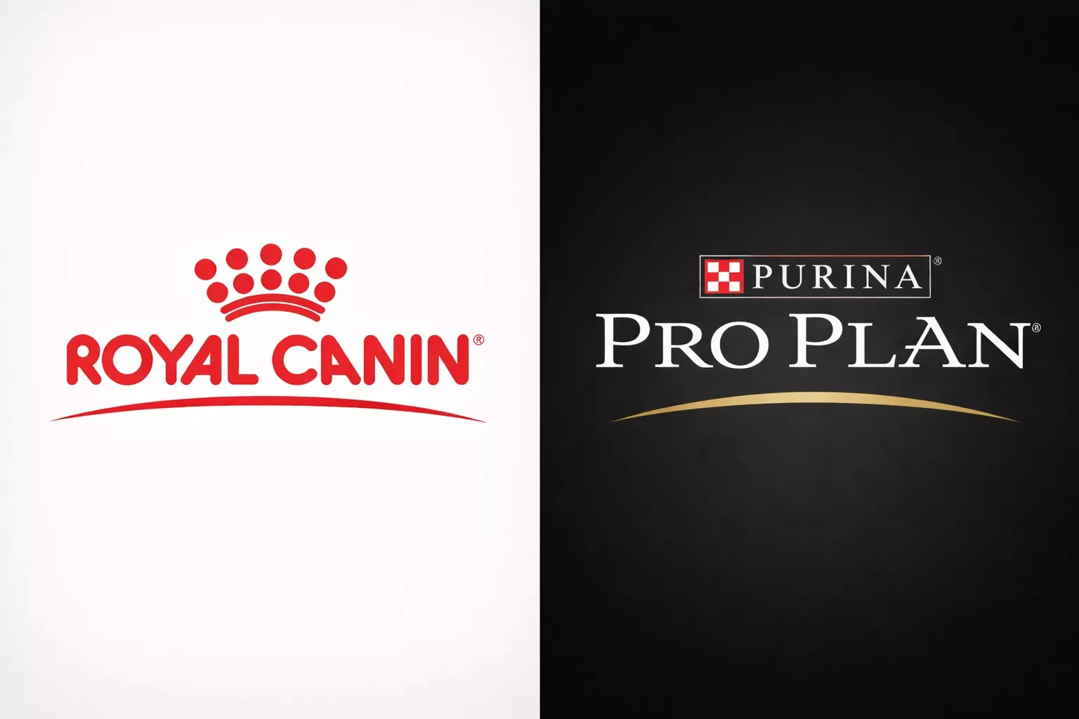 Royal Canin или Purina Pro Plan: сравнение повседневных линеек