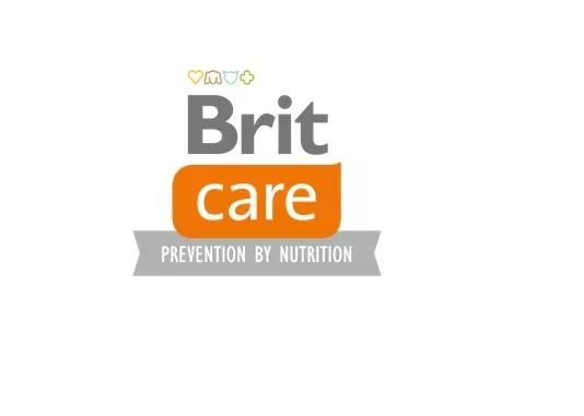 Корма Brit Care: полный аудит бренда 