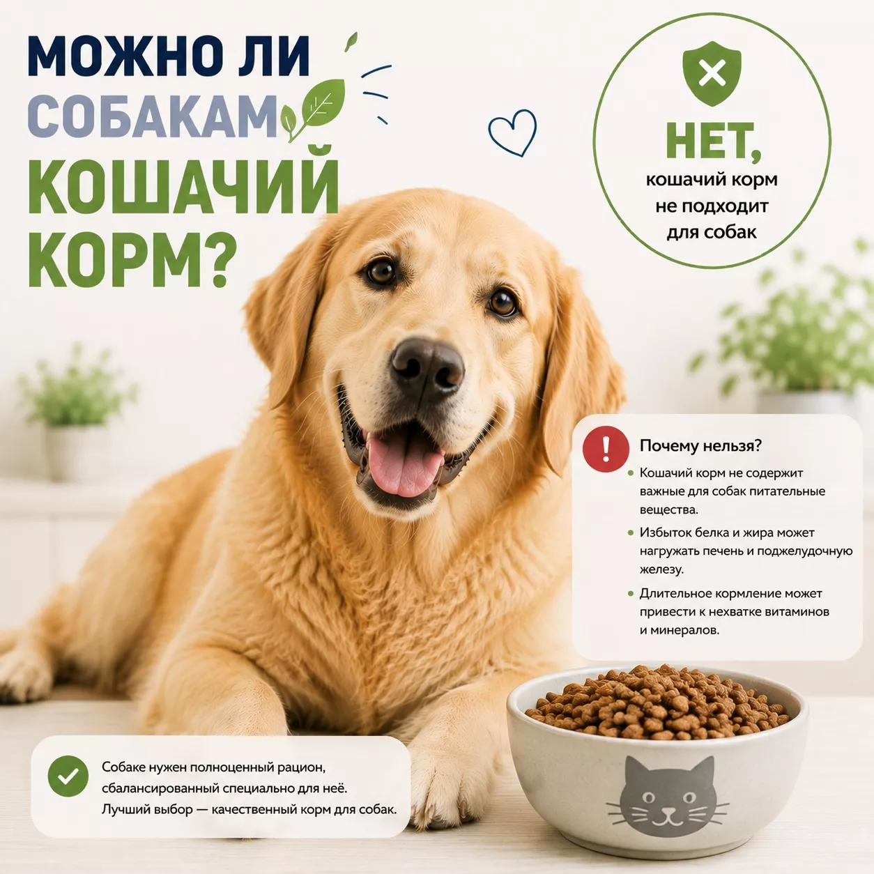 Можно ли собаке кошачий корм