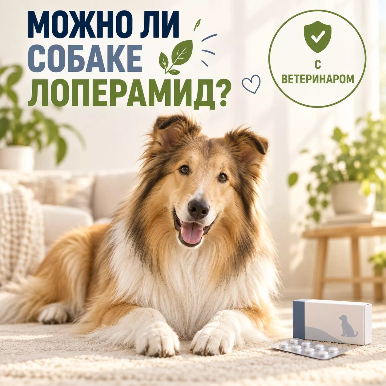 Можно ли собакам лоперамид